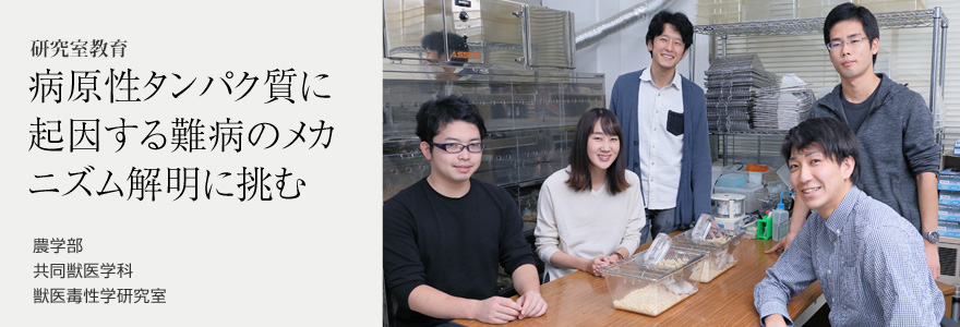 病原性タンパク質に起因する難病のメカニズム解明に挑む 農学部 共同獣医学科 獣医毒性学研究室
