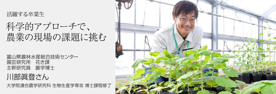 科学的アプローチで、農業の現場の課題に挑む 富山県農林水産総合技術センター 園芸研究所　花き課 主幹研究員　農学博士 川部眞登さん 大学院連合農学研究科 生物生産学専攻 博士課程修了