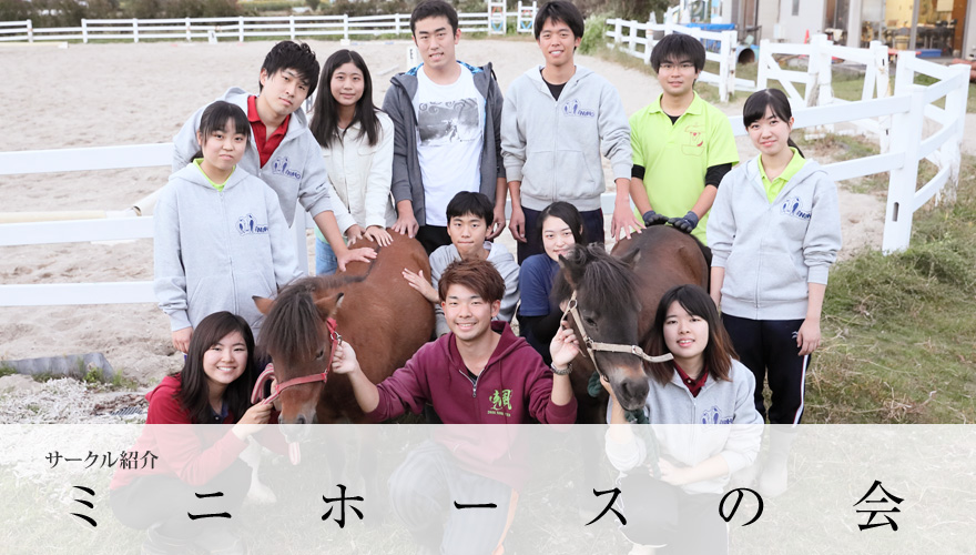 ミニホースの会