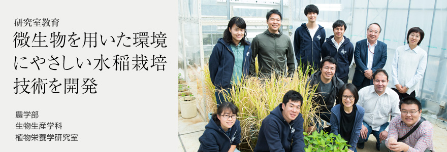 微生物を用いた環境にやさしい水稲栽培技術を開発 農学部 生物生産学科 植物栄養学研究室