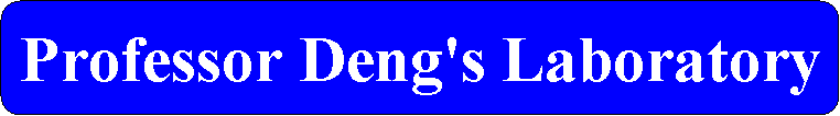 Professor Deng's Laboratory