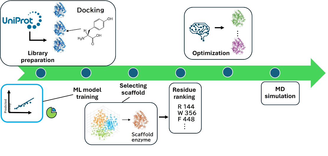 GEnESIS workflow overview