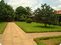 University of Ghana1