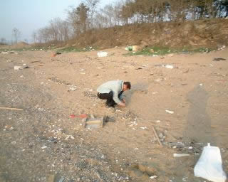  Collecting plastic resin pellets on Korean beach