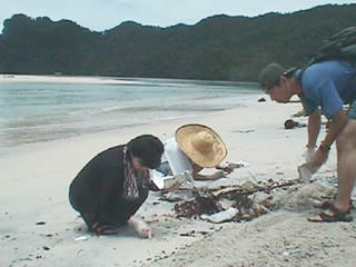 Collecting plastic resin pellets on Malaysian beach