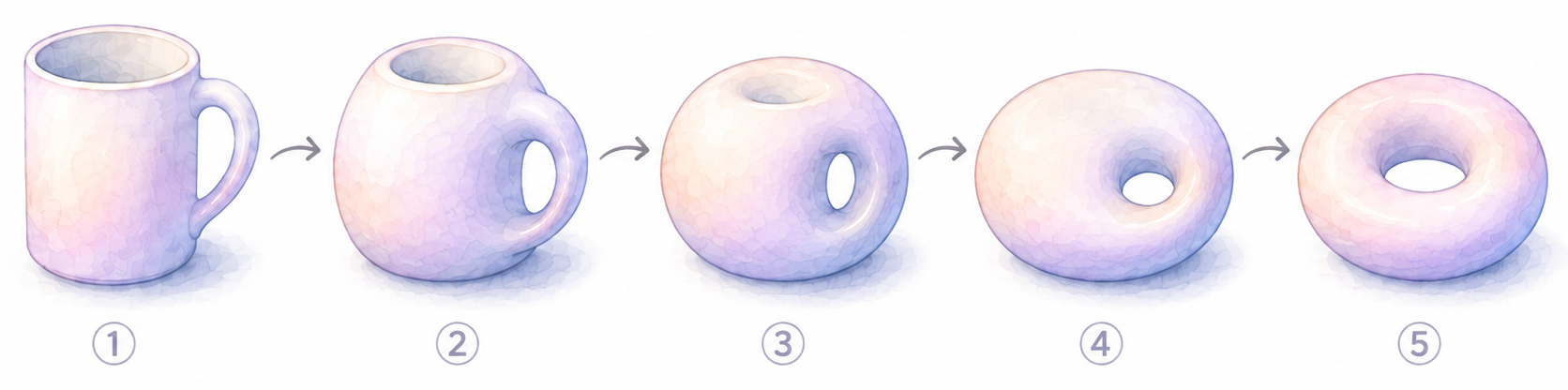 A watercolor-style illustration showing a continuous deformation from a mug to a doughnut