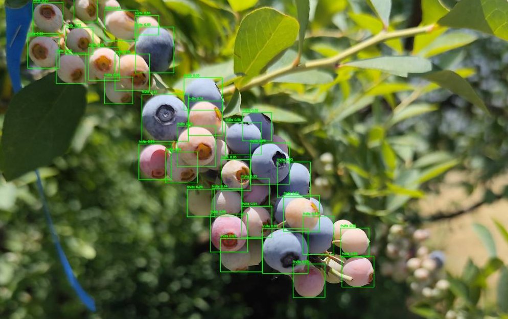 ブルーベリーの検出