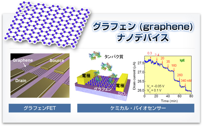 グラフェン (graphene) ナノデバイス