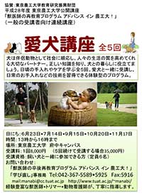 PDFがダウンロードできます