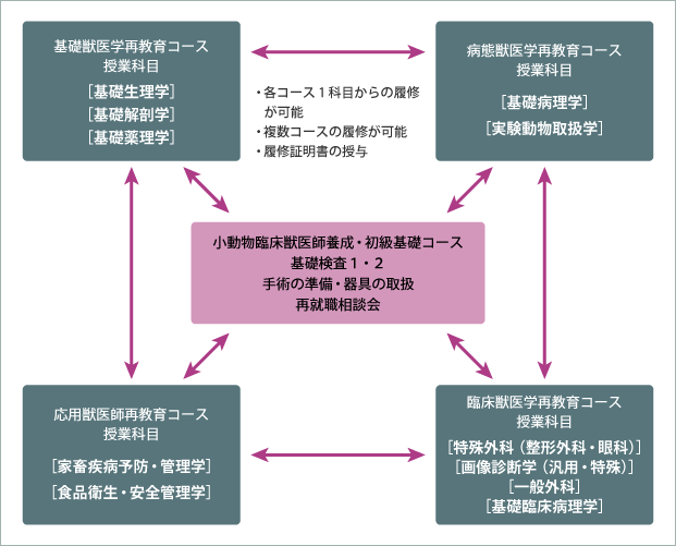女性獣医師再教育プログラムコースツリー