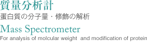 質量分析計 Mass Spectrometer