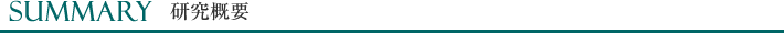 研究概要