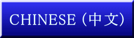 CHINESE (中文)