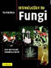 Introduction to Fungi Third Edition