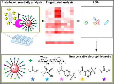 Graphic Abstract - Kamoshita et al.