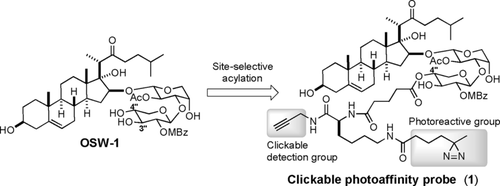 Graphic Abstract - Yamada et al.