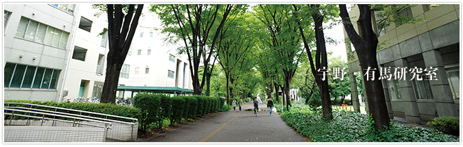 宇野・有馬研究室