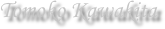 Tomoko Kawakita