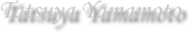 Tatsuya Yamamoto