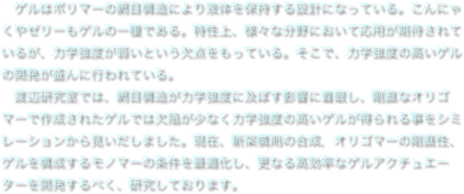 　ゲルはポリマーの網目構造により液体を保持する設計になっている。こんにゃくやゼリーもゲルの一種である。特性上、様々な分野において応用が期待されているが、力学強度が弱いという欠点をもっている。そこで、力学強度の高いゲルの開発が盛んに行われている。
　渡辺研究室では、網目構造が力学強度に及ぼす影響に着眼し、剛直なオリゴマーで作成されたゲルでは欠陥が少なく力学強度の高いゲルが得られる事をシミレーションから見いだしました。現在、新架橋剤の合成，オリゴマーの剛直性、ゲルを構成するモノマーの条件を最適化し、更なる高効率なゲルアクチュエーターを開発するべく、研究しております。