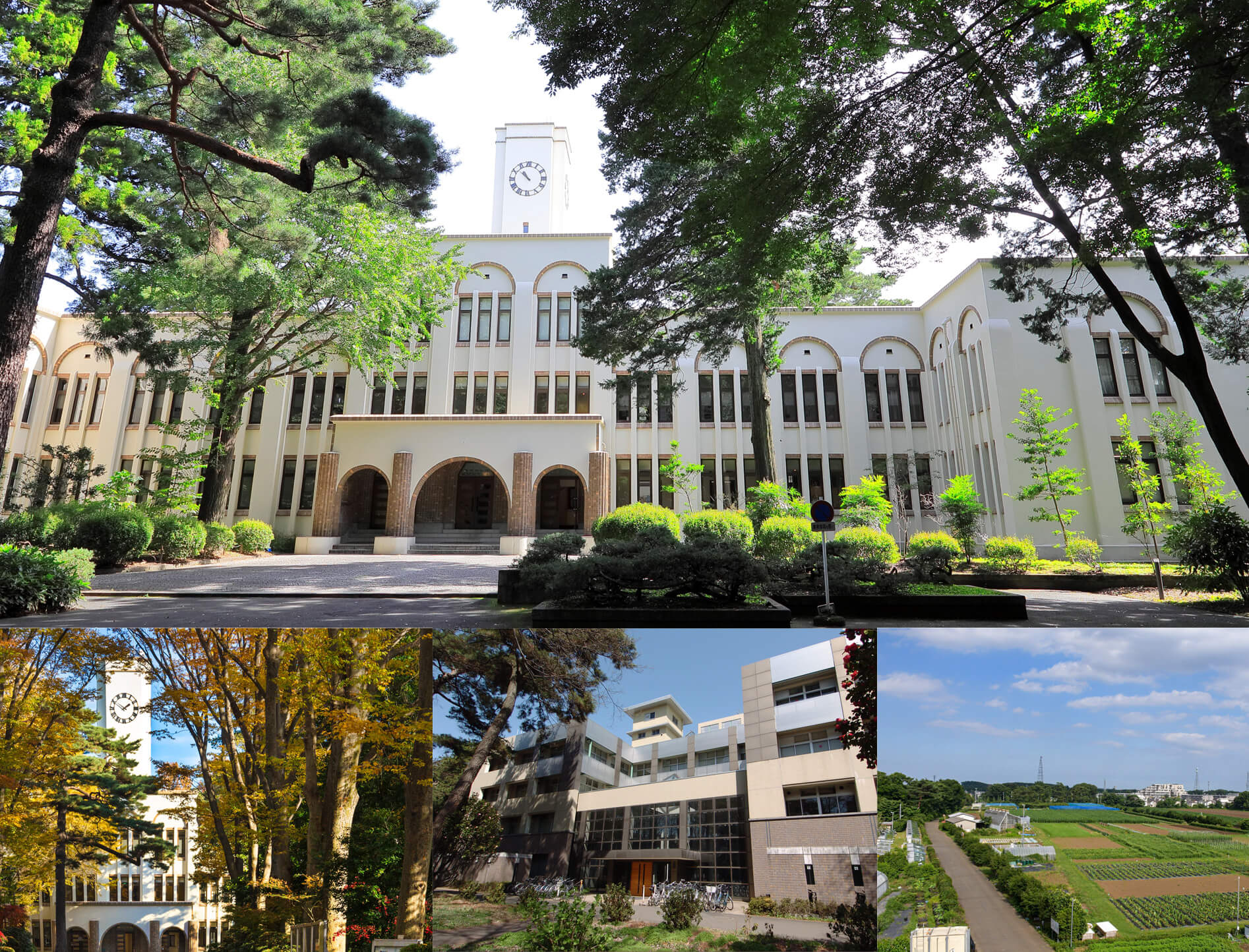 Yohei Okada’s website Tokyo University of Agriculture and Technology