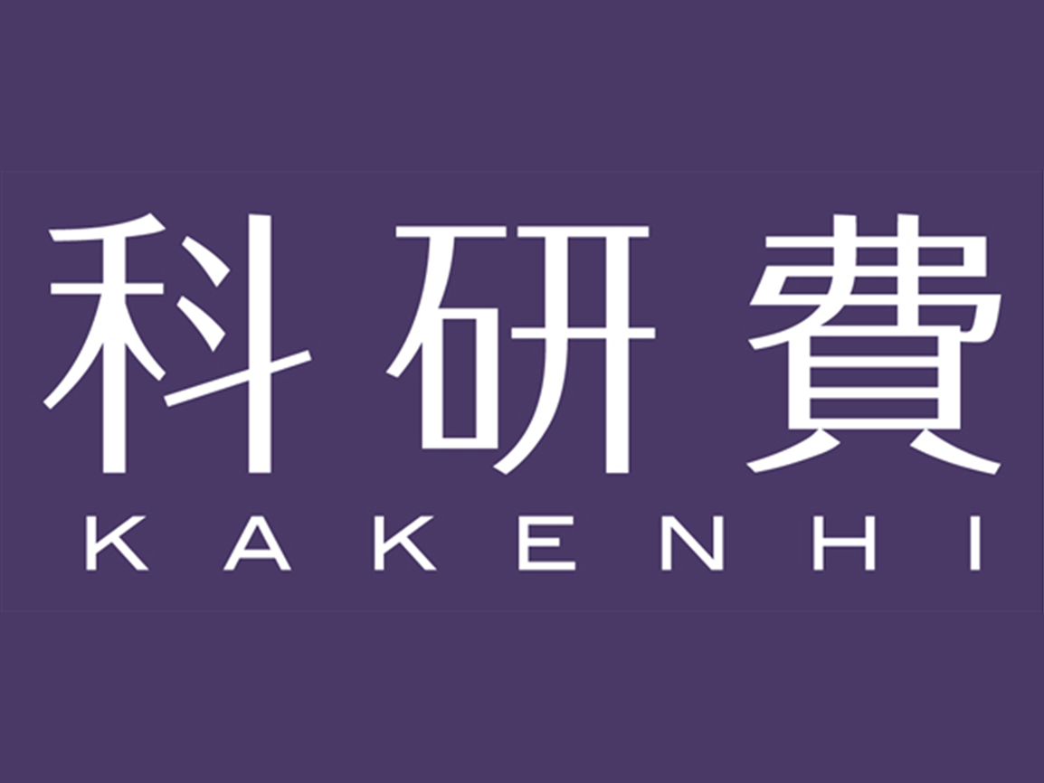 挑戦的研究（萌芽）