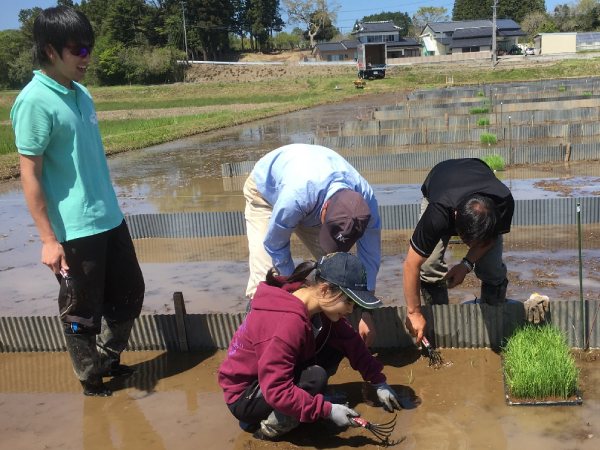 Academic Express ３