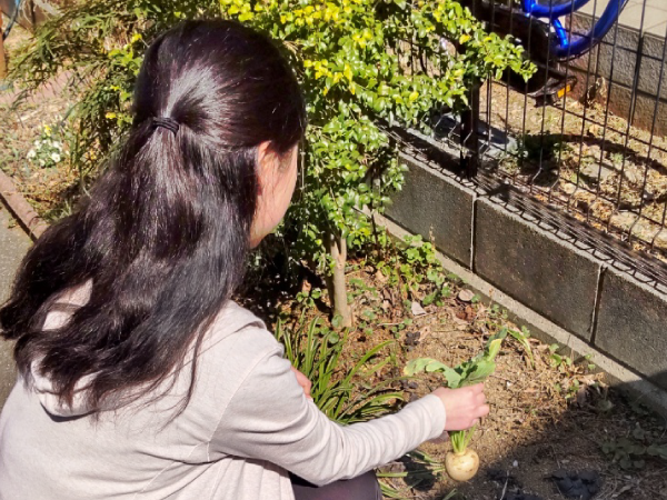 Academic Express ３