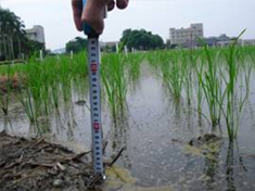 shows the field observation for paddy water management at Agricultural Research Institute, Council of Agriculture, Executive Yuan