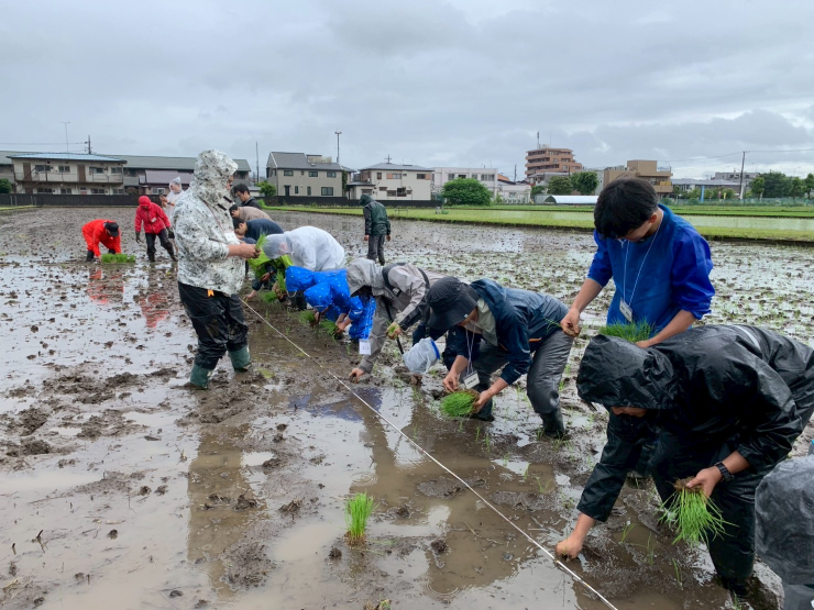 農工大+東外大+電通大による田植え実習