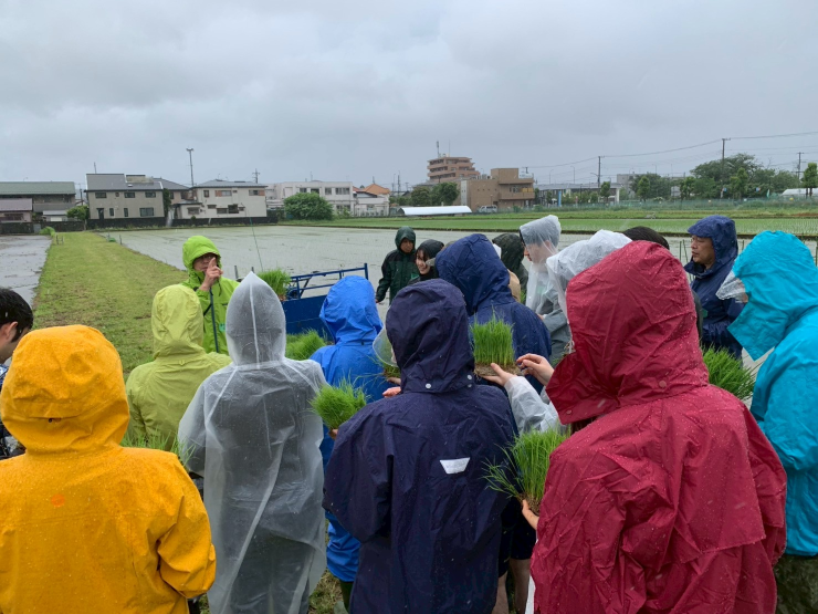 農工大+東外大+電通大による田植え実習