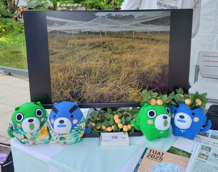 立川にて東京外国語大学とともにAloha Hawaiian Festival 2026に出展しました