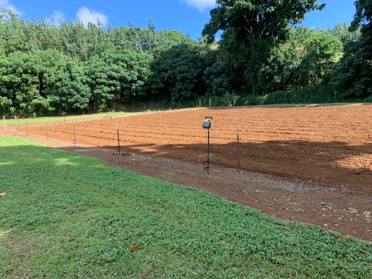 ハワイ・カウアイ島での米栽培の候補地