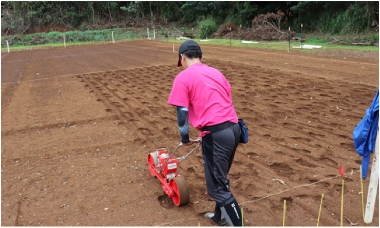 ハワイ事業での米栽培を開始しました！