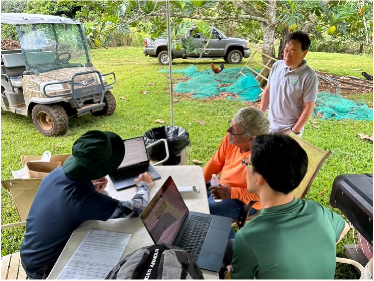 ハワイ事業での米栽培を開始しました！