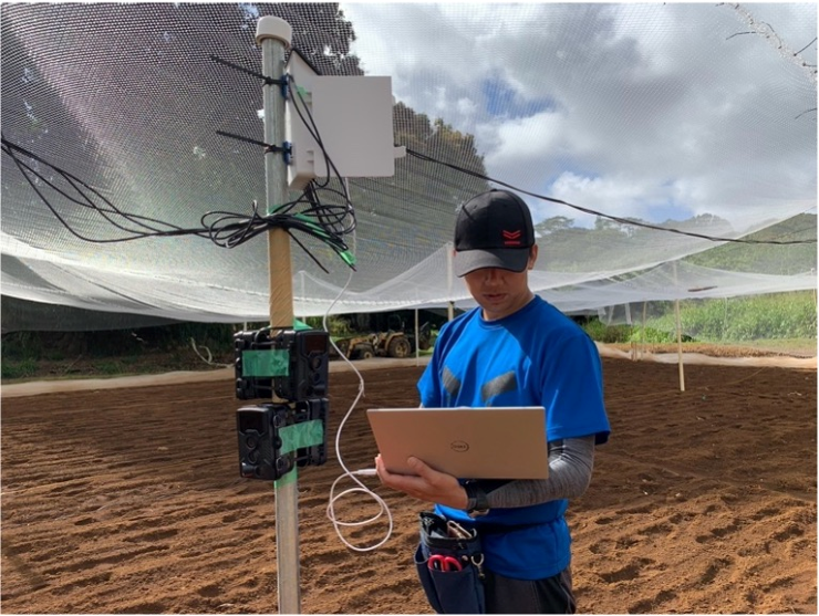 ハワイ事業での米栽培を開始しました！