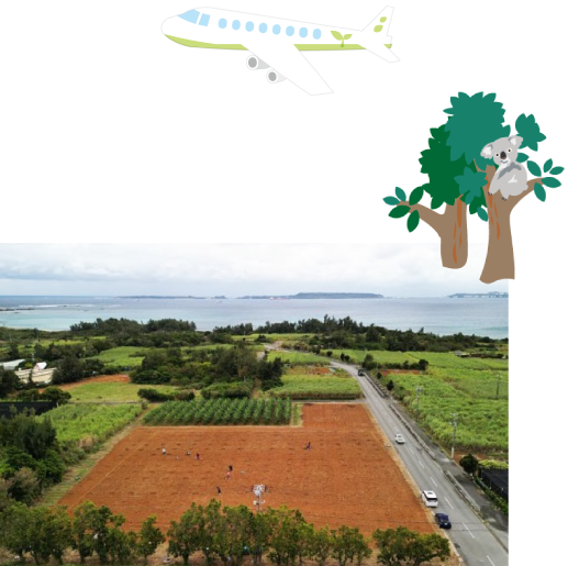 豪州・クイーンズランド事業