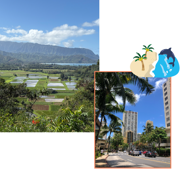 米国・ハワイ事業