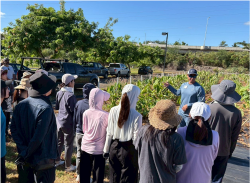 東京外国語大学とハワイスタディーツアーを開催しました。