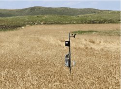 アルメニア共和国におけるスマート農業に関する調査研究を実施(報告)