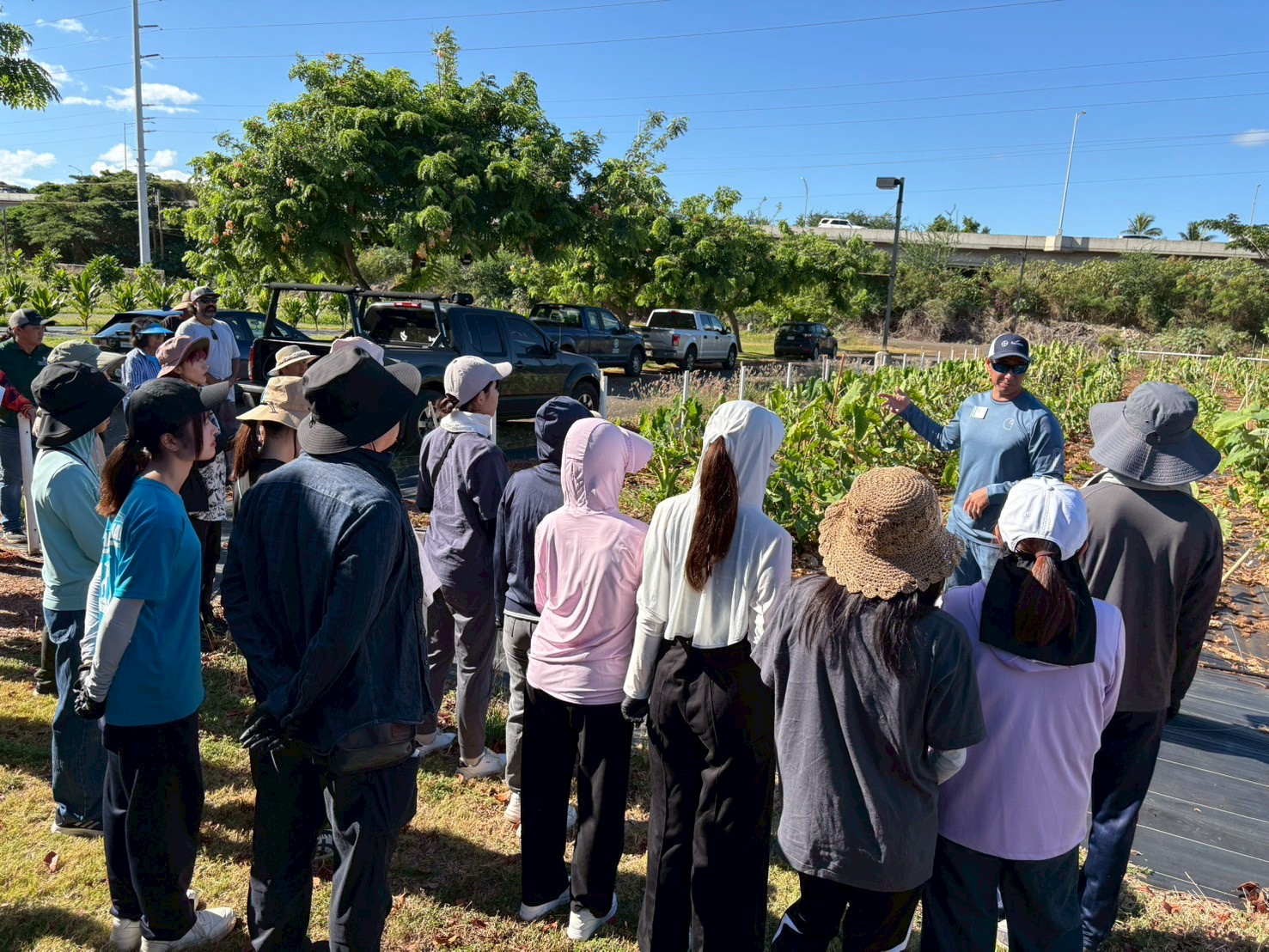 アルメニアでの社会実装研究