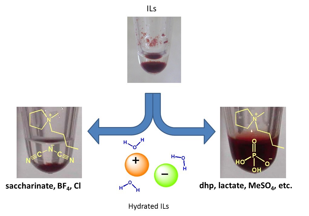Differences of solubilities of proteins to hydrated ILs in terms ion structure