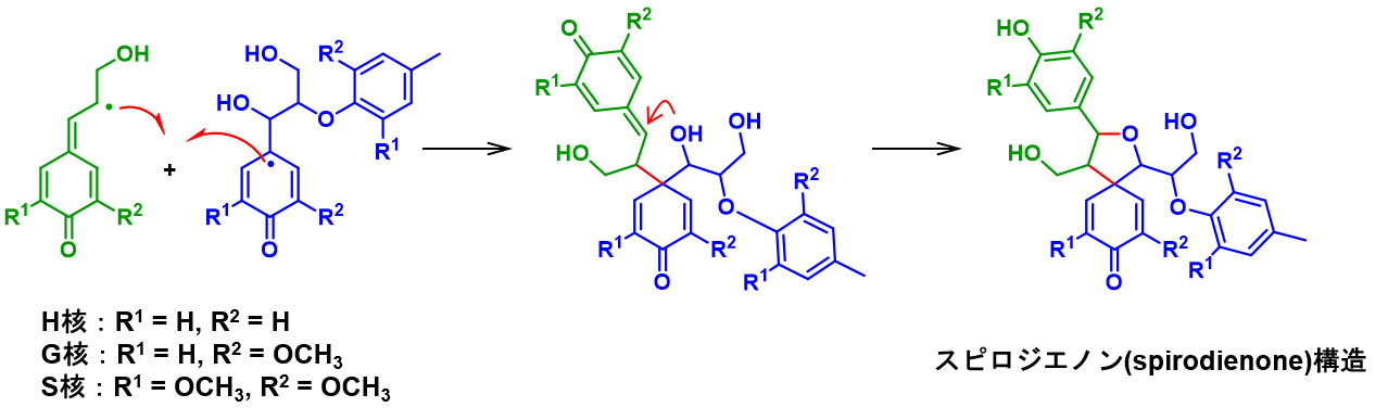 spirodienone