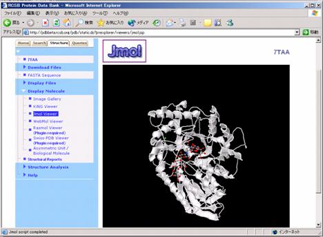 PDB ウェッブサイトでの Jmol ビューワによるタンパク質の立体構造の観察