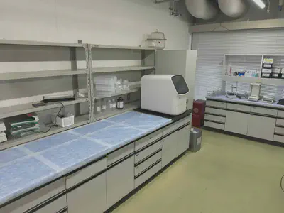 Inside the laboratory (electrophoresis zone)