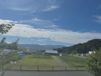 View near the sericulture facility