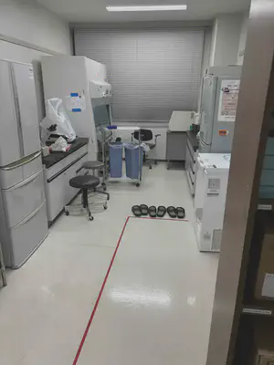 The freshly cleaned floor