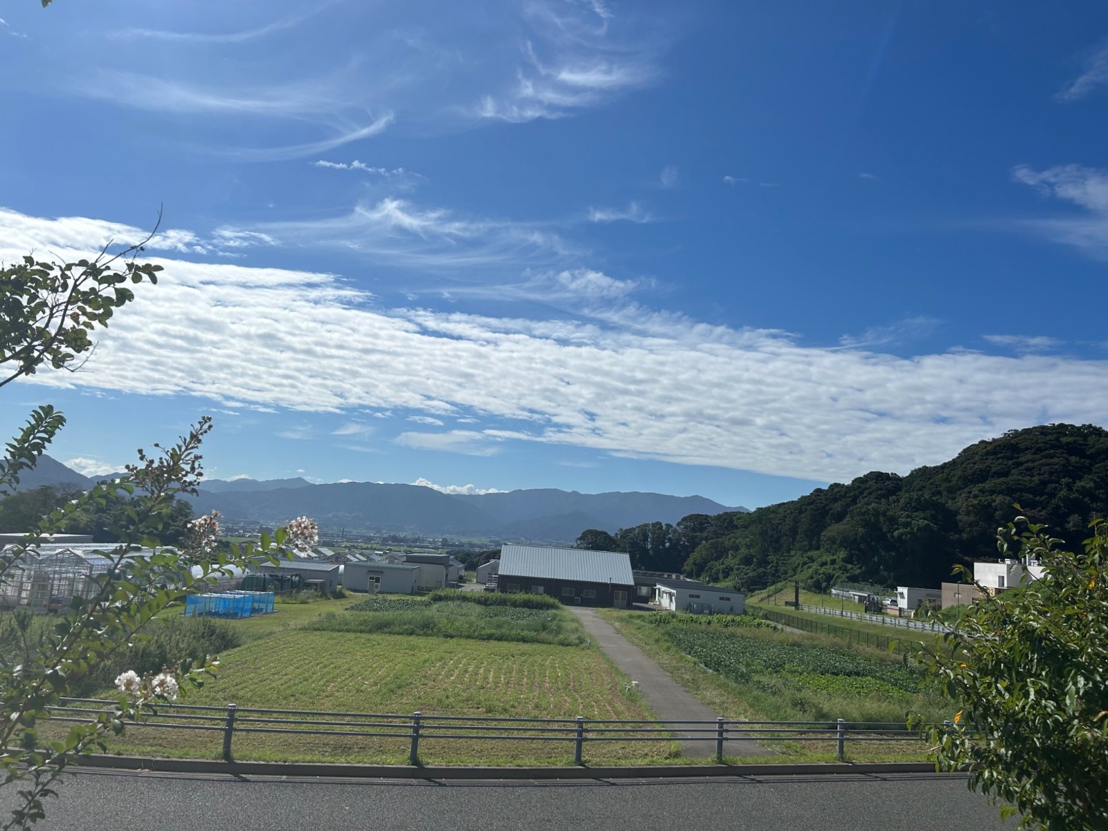 View near the silkworm rearing room
