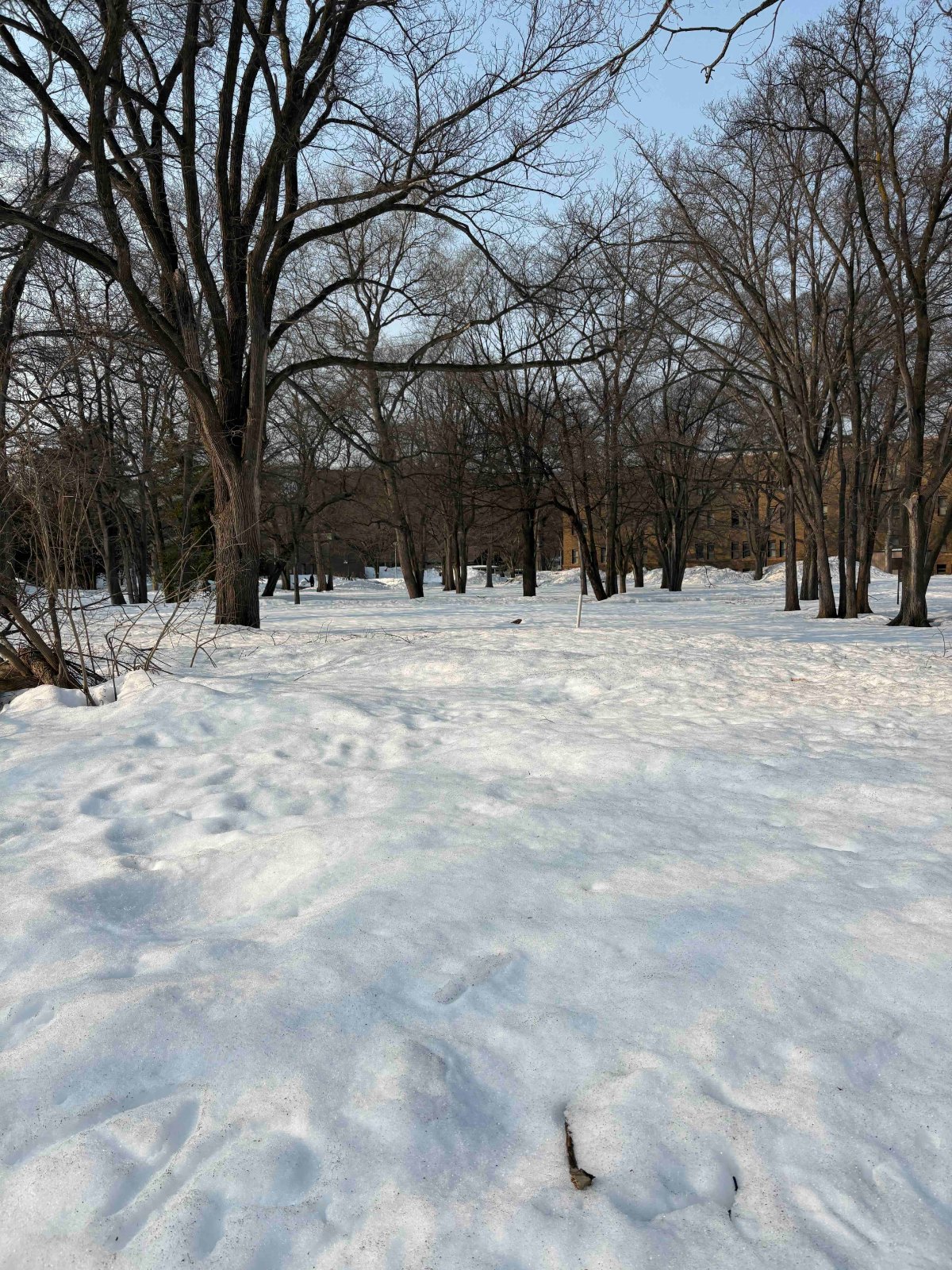 Snow