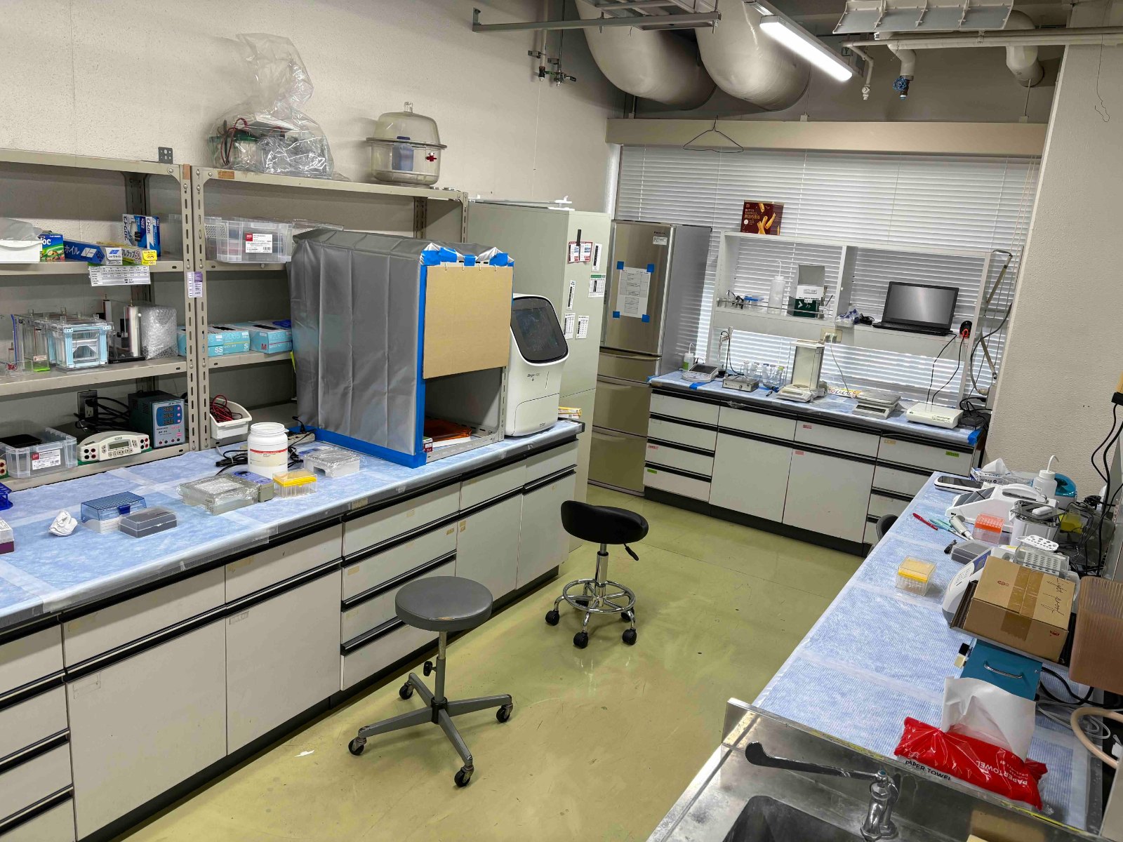 Lab (electrophoresis area)